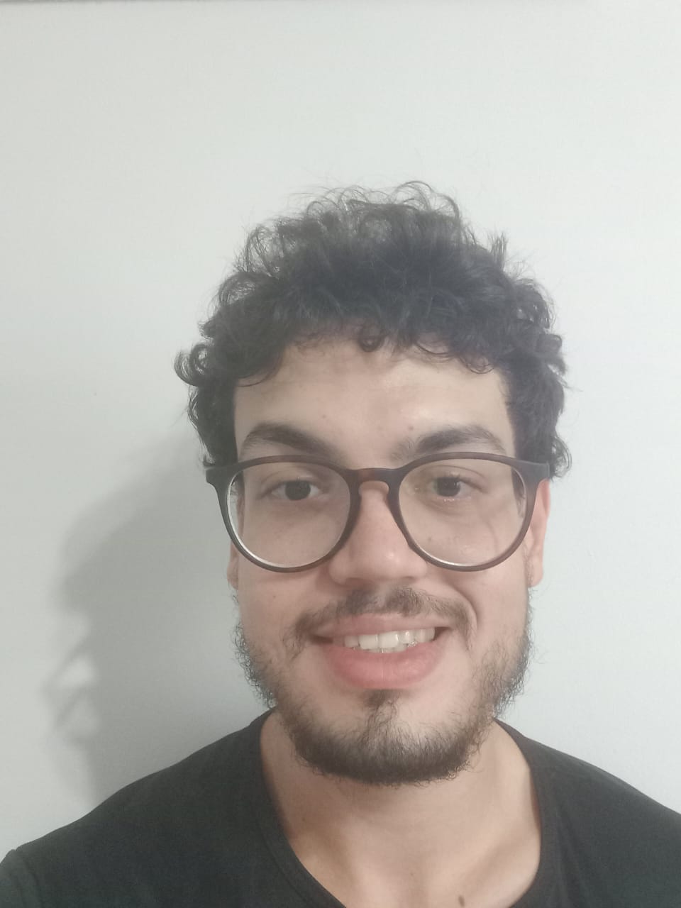 Icaro Scalisse F. Santos